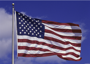 3' x 5' Printed Cotton American Flag