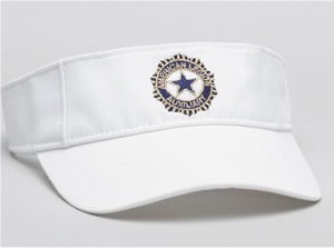 Auxiliary Visor