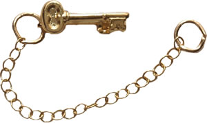 Auxiliary Treasurer Key Guard