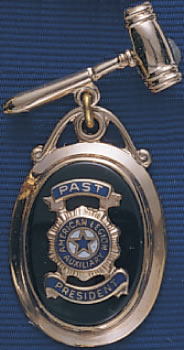 Auxiliary Past President Gold-Plated Gavel Pin