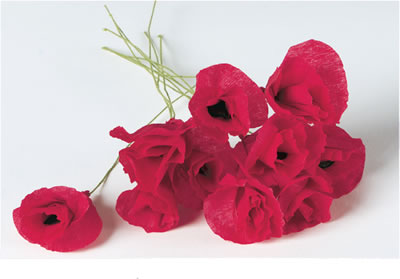 Crepe Paper Poppies (Pack of 100)