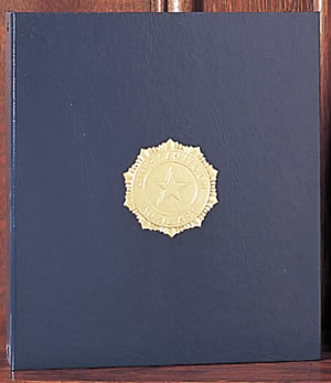 Auxiliary 3-Ring Binder
