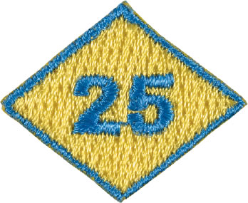 SAL Continuous Membership Patch