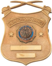 Meritorious Service Pin