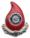 Silver 1-Gallon Blood Donor Tack & Decal