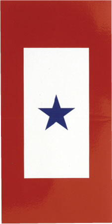 Blue Star Bumper Sticker