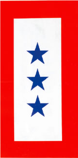 3-Star Blue Star Service Window Decal