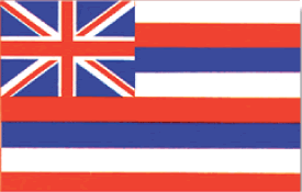 Hawaii Outdoor Flag